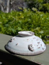 Image 2 of Dish 005
