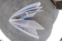 Image 3 of The Poison Oak Land Zine (Issue #2)