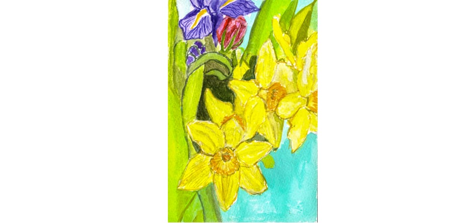 Image of Daffodil Renewal