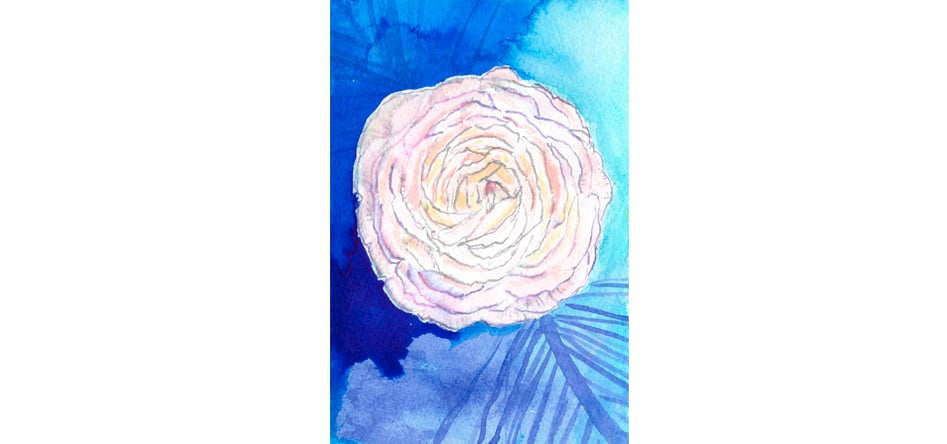 Image of Birthday Peonies