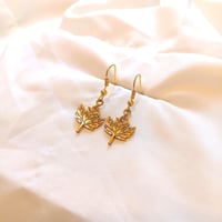 Image 1 of Maple leaf earrings