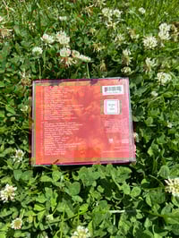 Image 15 of Woodstock '94 (Vintage 2 CD Compilation, 1994)