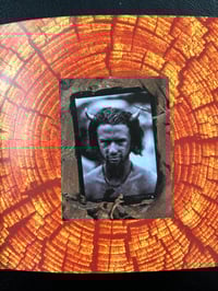 Image 10 of Woodstock '94 (Vintage 2 CD Compilation, 1994)