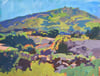 California Coastal Valley
