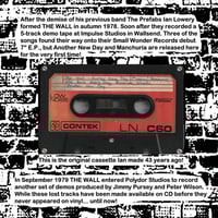 Image 17 of THE ADICTS, V2, SATAN'S RATS etc Last Year's Youth 7"s *restock*