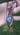 Labradorite in oxydized copper 