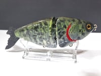 Image 3 of JC Glide Baits V- Notch     Jeckyll V8