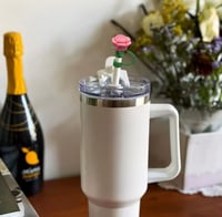 Image 9 of 9 Piece Rose Straw Cover Set