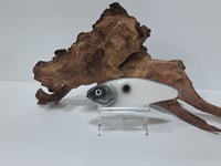 Image 1 of JC Glide Baits- hybrid lipless blade bait/ crank bait  B1
