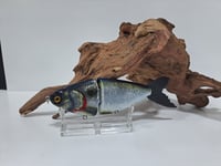 Image 1 of JC Glide Baits V- Notch     Purple Back Gizzard  V4