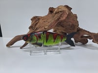 Image 1 of JC Glide Baits V- Notch       The Grinch V3