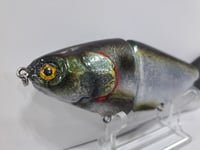 Image 2 of JC Glide Baits V -Notch    Green Back Gizzard V7