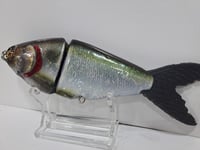 Image 3 of JC Glide Baits V -Notch    Green Back Gizzard V7