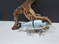 Image 1 of Zorba Baits- Shad Daddy ( Classic Shad)