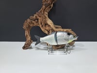Image 4 of Zorba Baits- Shad Jr. (Chrome)