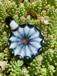 Image 3 of Jewels 