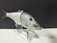 Image 3 of Zorba Baits- Shad Jr. ( American Shad)