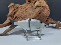 Image 1 of Zorba Baits- Shad Jr. ( American Shad)