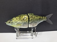Image 2 of Zorba Baits- Shad Jr. ( Crappie)