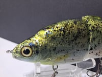 Image 3 of Zorba Baits- Shad Jr. ( Crappie)