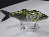 Image 4 of Zorba Baits- Shad Jr. ( Crappie)