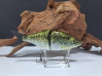 Image 1 of Zorba Baits- Shad Jr. ( Crappie)