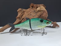 Image 1 of Zorba Baits- Whitefish ( Blueback)