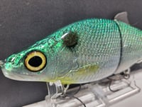 Image 2 of Zorba Baits- Whitefish ( Blueback)