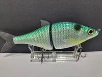 Image 3 of Zorba Baits- Whitefish ( Blueback)