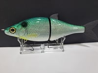 Image 4 of Zorba Baits- Whitefish ( Blueback)