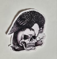 Image 1 of Raven Plucking An Eyeball Out Of A Skull Matte Vinyl Sticker