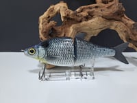 Image 1 of Zorba Baits-  Whitefish ( Classic Shad)