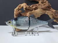 Image 3 of Zorba Baits-  Whitefish ( Classic Shad)