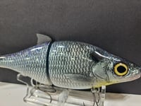Image 5 of Zorba Baits-  Whitefish ( Classic Shad)