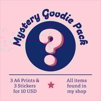 Mystery Goodie Pack