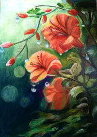 Image 1 of Trumpetcreeper Flower