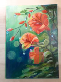 Image 3 of Trumpetcreeper Flower