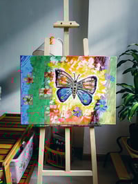 Image 3 of Butterfly