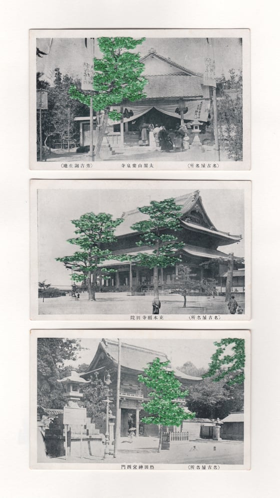 Image of TRYPTYCH: IN THE SHADE OF TREES