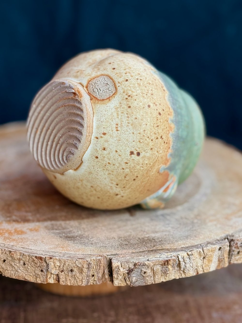 Image of CURVY LADY CUP / 019