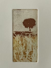 Milestone (Variable Edition -Autumn)