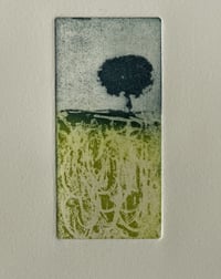 Milestone (Variable Edition - Spring)