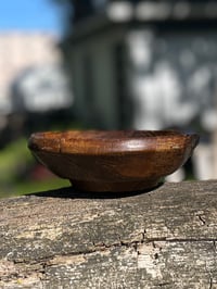 Image 5 of 6.5" WHITE OAK/BUCKTHORN BOWL (thick-walled)