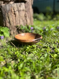 Image 1 of 6.5" WHITE OAK/BUCKTHORN BOWL (thick-walled)