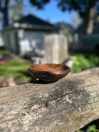 Image 7 of 6.5" WHITE OAK/BUCKTHORN BOWL (thick-walled)