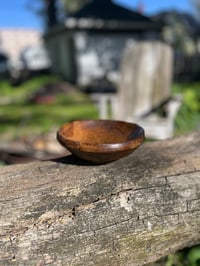 Image 9 of 6.5" WHITE OAK/BUCKTHORN BOWL (thick-walled)