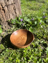 Image 11 of 6.5" WHITE OAK/BUCKTHORN BOWL (thick-walled)
