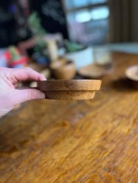 Image 1 of 5.5" WHITE OAK - DEVO DISH - MEDIUM