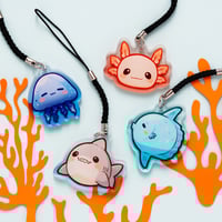 Image 1 of Phone charms - Jellyfish Axolotl Shark Sunfish