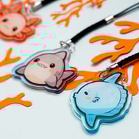 Image 4 of Phone charms - Jellyfish Axolotl Shark Sunfish
